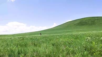 4K超高清拍摄花开的草原策马奔腾素材视频的预览图
